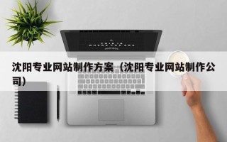 昆明沈阳专业网站制作方案（沈阳专业网站制作公司）